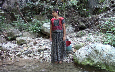 Presentan 4 cortometrajes realizados por jóvenes del Istmo